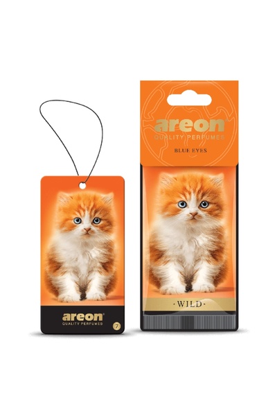 Areon Αρωματικό καρτελάκι αυτοκινήτου Blue Eyes Wild, Ειδική Επιλογή
