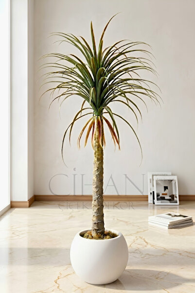 Cihan Çiçekçilik Yapay Dracaena Marginata - Beyaz Küre Saksı