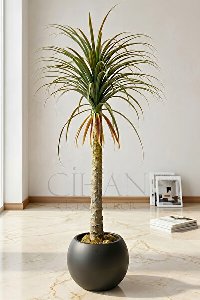 Cihan Çiçekçilik Yapay Dracaena Marginata - Beyaz Küre Saksı