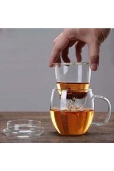 Linan Ware Linanware Glass Mug with Lid and Brewing Strainer, Heat Resistant ...