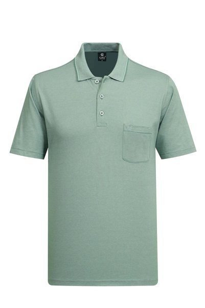 Çizgi Triko Men's Polo Collar Buttoned Pocket Short Sleeve Green T-Shirt Classic Pattern - 5305