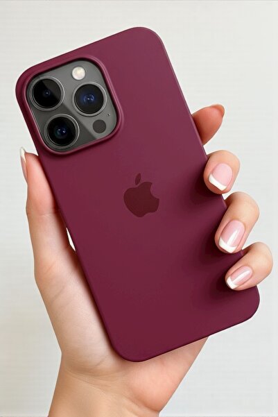 ProNorth Iphone 16 PRO MAX Uyumlu Kılıf Logolu Lansman Soft Yumuşak Içi Kadif...