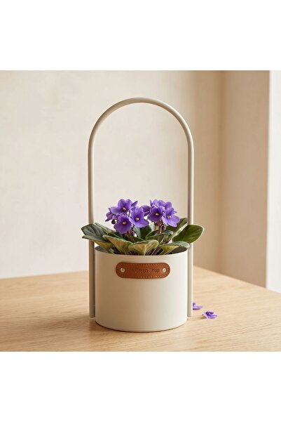 BM GİFT DESİGN Ghiveci Metalic Decorativ The Green Shop 30x13cm