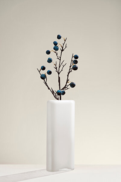 Paşabahçe Fruit 68 cm Mavi
