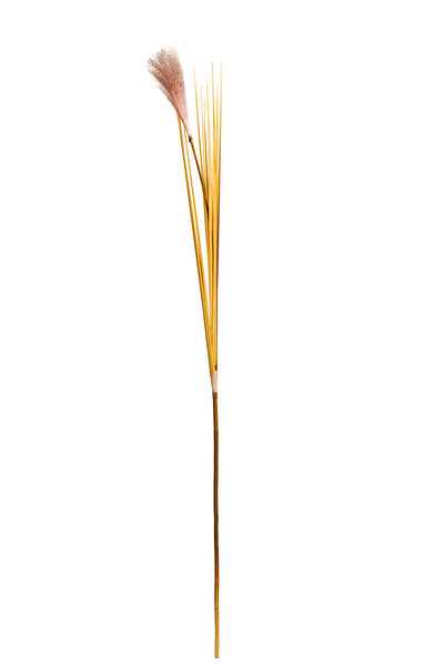 Paşabahçe Bulrush 119 cm Krem