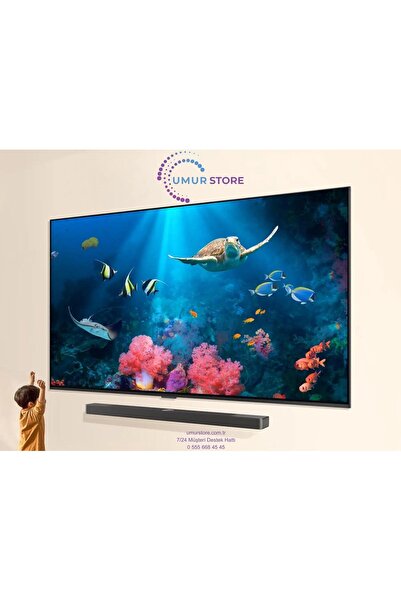 LG 65QNED86A6A TV 65" inç Televizyon Askı Aparatı