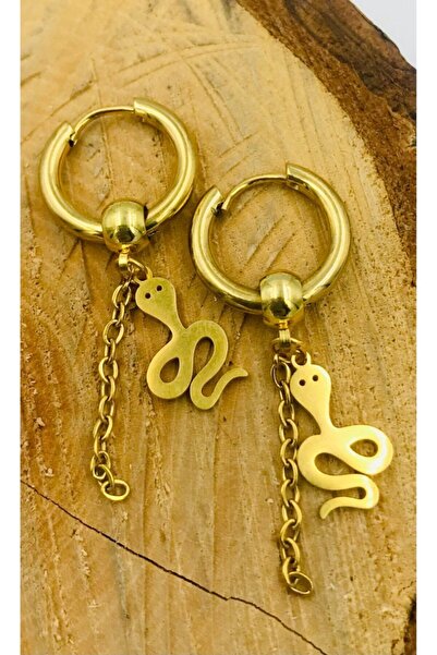 Monalisa Home Figured Steel Earrings - Gold Color