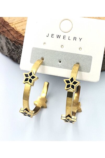Monalisa Home Zircon Stone Luxury Steel Earrings