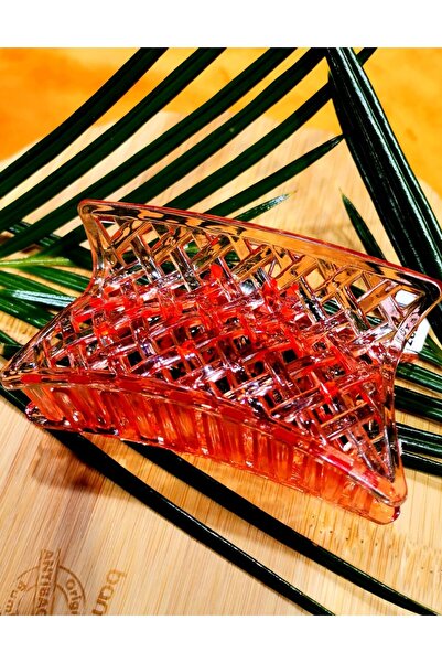 Monalisa Home Luxurious Figured Pinch Buckle