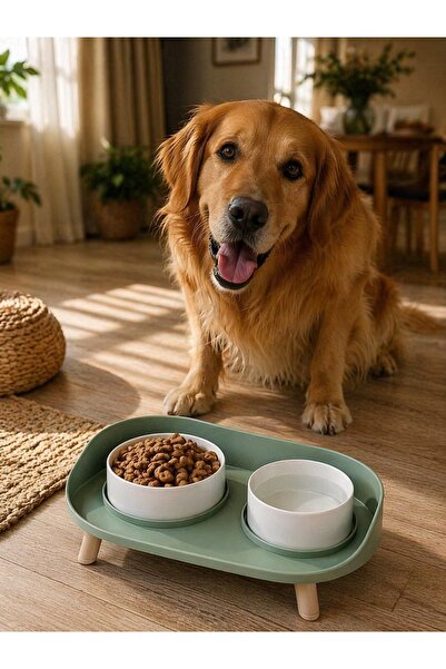 M-PETS Altitude 2'li Kedi ve Köpek Mama Kabı Standı 2X450 ML