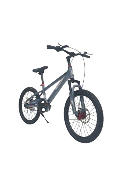 Rally 20 Inch Road Bicycle