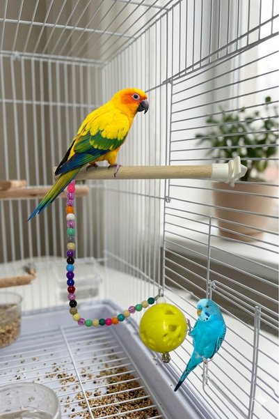 Getreide Bulk Stork Bird Toy