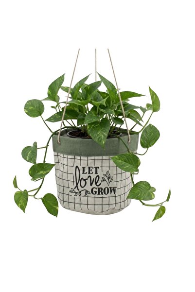 BM GİFT DESİGN Ghiveci suspendat textil alb-verde 17 cm