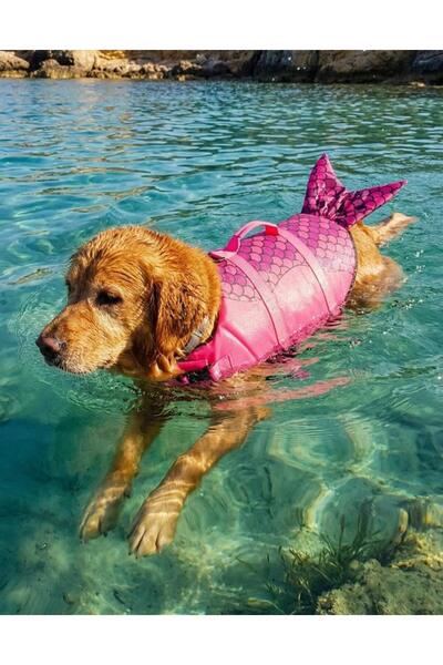 Petza Köpek Can Yeleği Blush