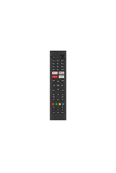 Axen AX50FMN602/066 Uyumlu Google Tv Kumandası-Mikrofonsuz