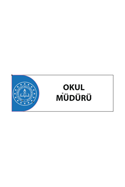 HiperAD Reklam OKUL MÜDÜRÜ YAZILI Okul Kapı İsimliği 25 × 9 cm Dekota |Sınıf ...