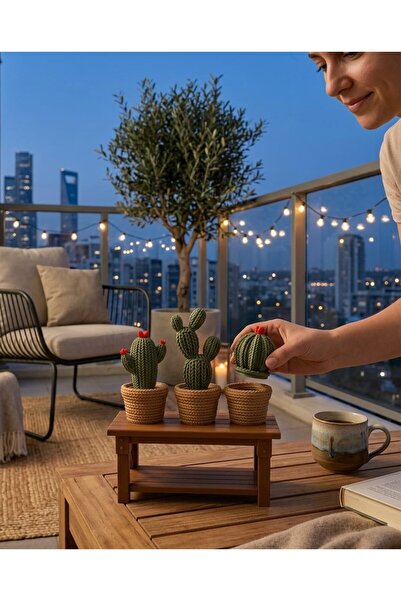 NEXUSS DESIGN Dekoratif Kaktüs Seti Gizli Bölmeli – Masa ve Balkon Dekorasyon...