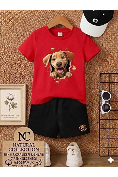 Nice Clothes ΚΑΛΟΚΑΙΡΙΝΟ ΠΑΙΔΙΚΟ ΣΕΤ ΜΠΛΟΥΖΑΚΙ-ΣΟΡΤΣ ΟΥΝΙΣΕΞ (ΣΤΑΜΠΑ ΣΚΥΛΟΥ Α...