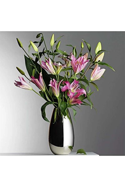 GJ LITUUS VASE LARGE VAZO