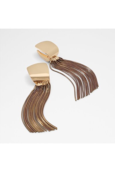 Aldo Wallow Womens Brown Earrings