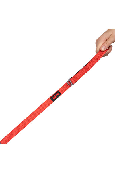 Tailpetz Prism Leash Small