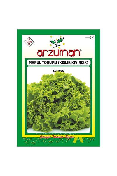 Arzuman Kışlık Kıvırcık Marul Tohumu 10 Gram