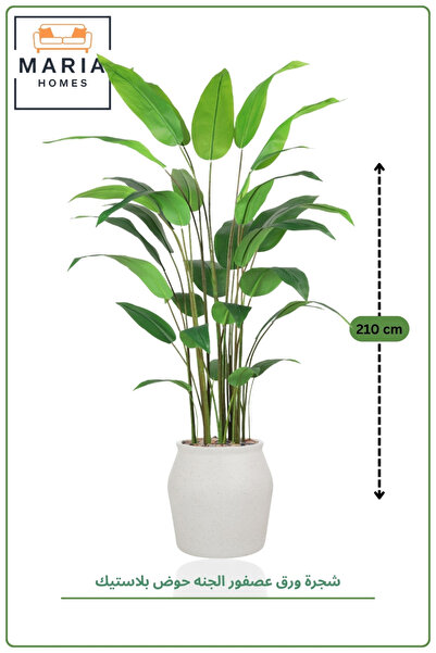 MARIA HOMES Artificial Bird of Paradise Tree 210 cm with Pot – Luxury Indoor ...