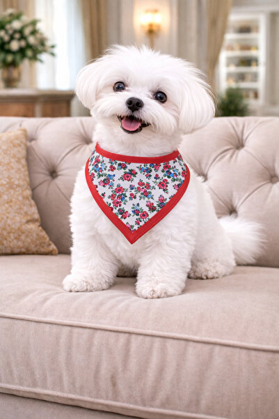 Çiçek Desen Üçgen Köpek Fular Bandana