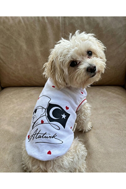 kedi köpek pet kıyafet