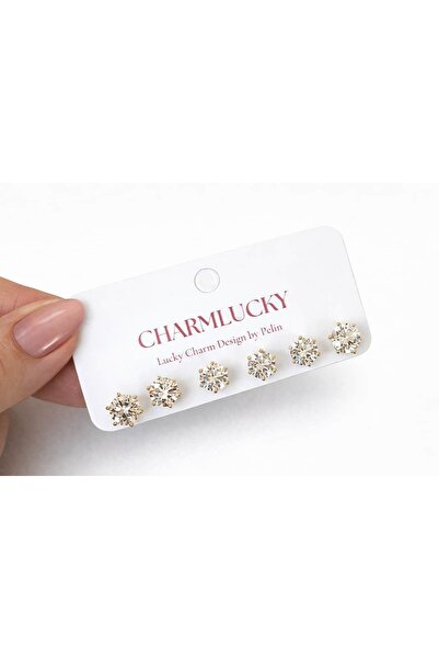 CHARMLUCKY ÖZEL SERİ TEK TAŞ 6LI KÜPE SETİ