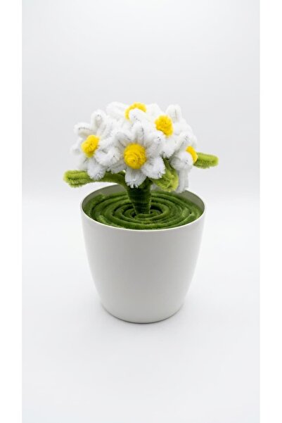 Bee Flower Shop Şönil Beyaz Papatya Mini Saksı – Minimal