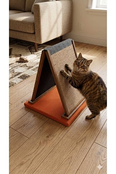 Shiny design Cat Scratching