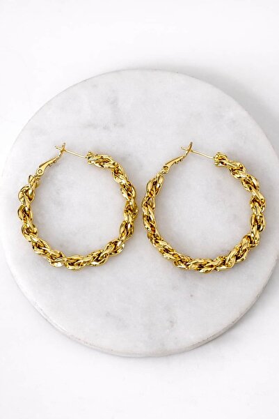 CHARMLUCKY Special Series Auger Ring Earrings