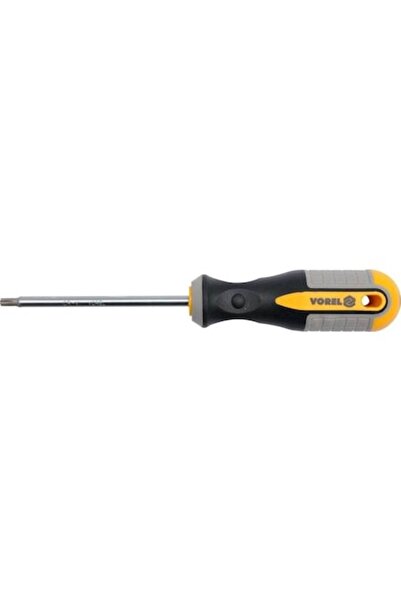 Vorel Șurubelniță Torx T20 100 mm