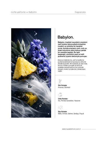 Royal Platinum Babylon Erkek Parfüm EDP 100ml Ananas - Misk - İris Çiçeği Ferah Seri