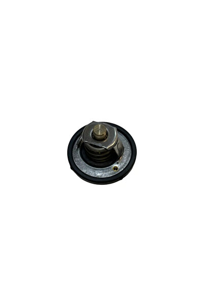 OTOSAN Ford Focus 1998-2019 1.6 Benzinli Termostat Orijinal |