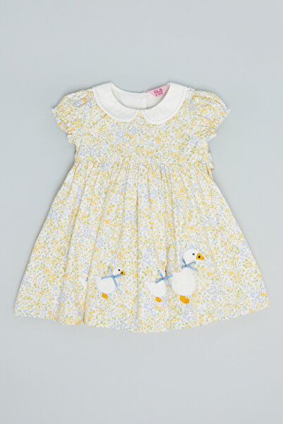 R&B Printed Fit & Flare Dress with Peter Pan Collar and Puff Sleeves