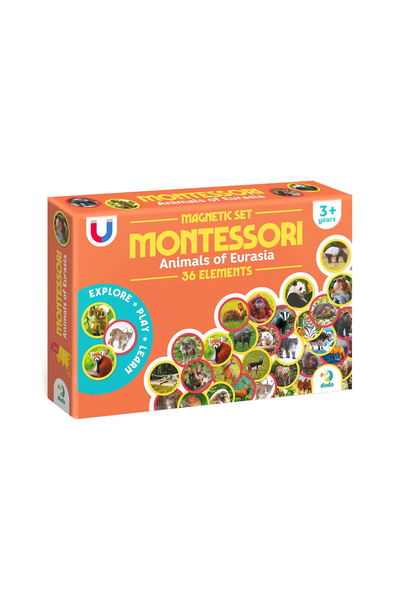 Dodo Μαγνητικό σετ Μοντεσσόρι, Ζώα από την Ευρασία, για ηλικίες 3-7 ετών