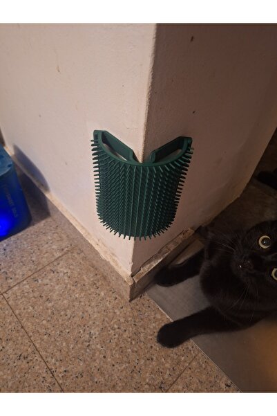 Print Zone Kedi Köpek Köşe Kaşıyıcı ve Tüy Toplayıcı Tarak - Evcil Hayvan Mas...