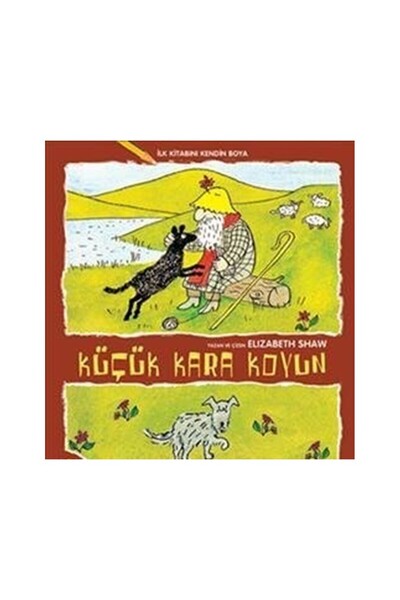 Doğan Çocuk Küçük Kara Koyun