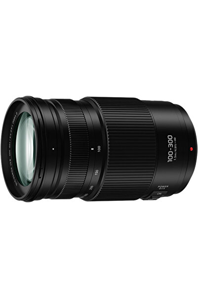 PANASONIC Obiectiv/Accesoriu Lens G 100-300mm f/4-5.6 II