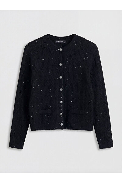 LC Waikiki Vizyon New Season Crew Neck Sequin Embroidered Women's Knitwear Ca...