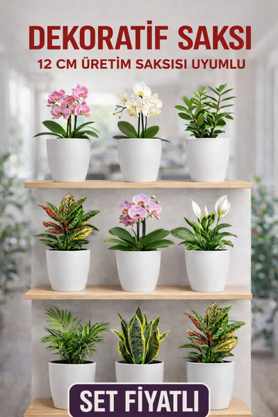 Plant Home Power Mix Dekoratif Saksı Seti 9 Adet – 12 cm Üretim Saksısı Uyuml...