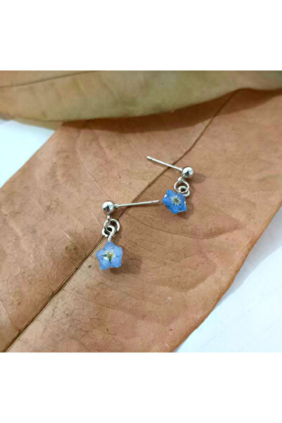 Choice1 silver Tiny Blue Forget Me Not Flower Earrings Simple Dried Floral Ea...