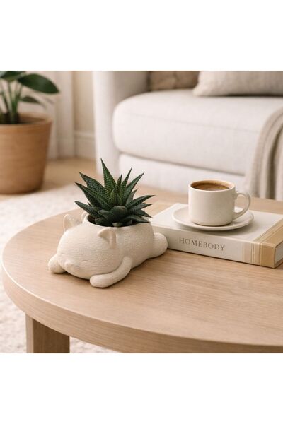 MSVstudio3d DEKORATİF KEDİ SAKSI / SUKULENT VE KAKTÜS İÇİN MİNİ SAKSI