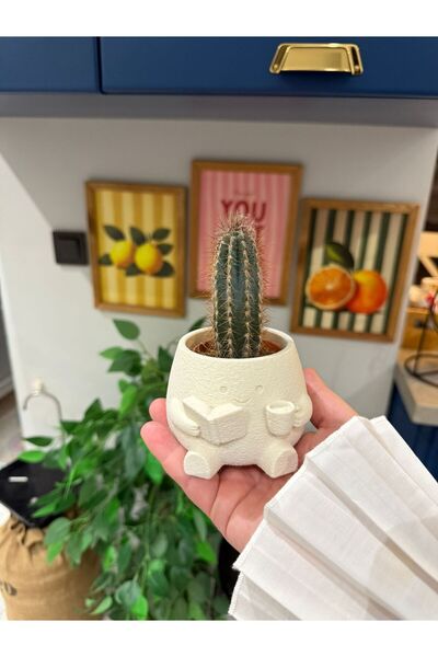 MSVstudio3d DEKORATİF SEVİMLİ SAKSI / KİTAP KAHVE TEMALI MİNİ SAKSI