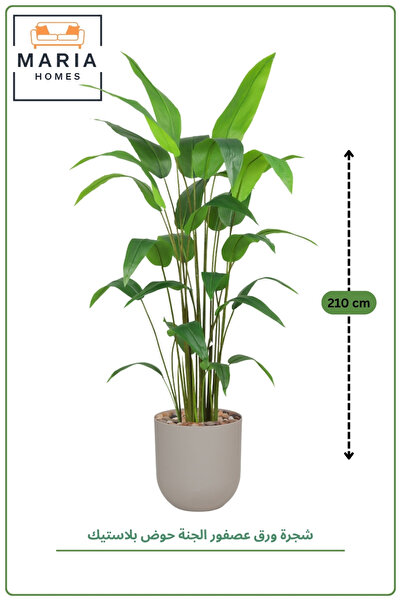 MARIA HOMES Artificial Bird of Paradise Plant 180 cm with Pot – Indoor Decora...