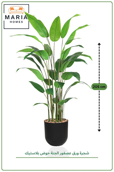 MARIA HOMES Artificial Bird of Paradise Tree 210 cm with Pot – Luxury Indoor ...