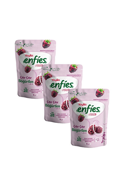 Yayla Enfies Freeze Dried Blackberries 15 g X3