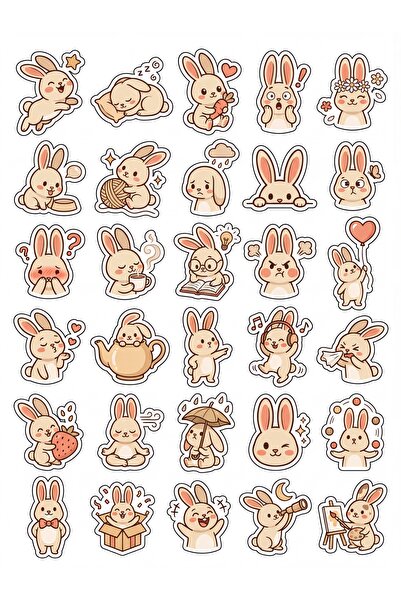 Store 30 Pieces Chibi Rabbit Sticker Set - for Laptop, Phone, Agenda, Notebook